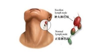 ʰһӦô